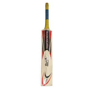 Kashmir Willow Cricket Bat